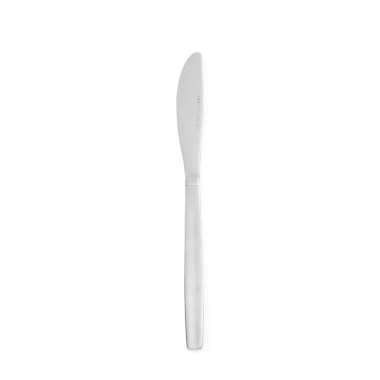 Budget Bordkniv 212mm / Table knife a. 12 pcs